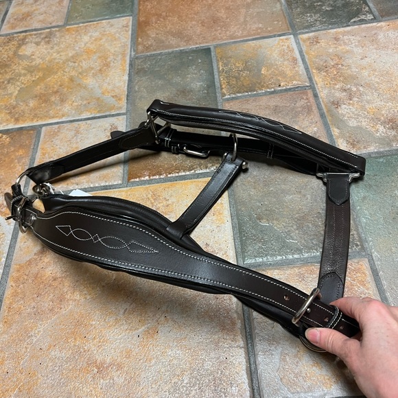 Dover Saddlery Fancy Stitch Padded Leather Halter - Picture 4 of 5